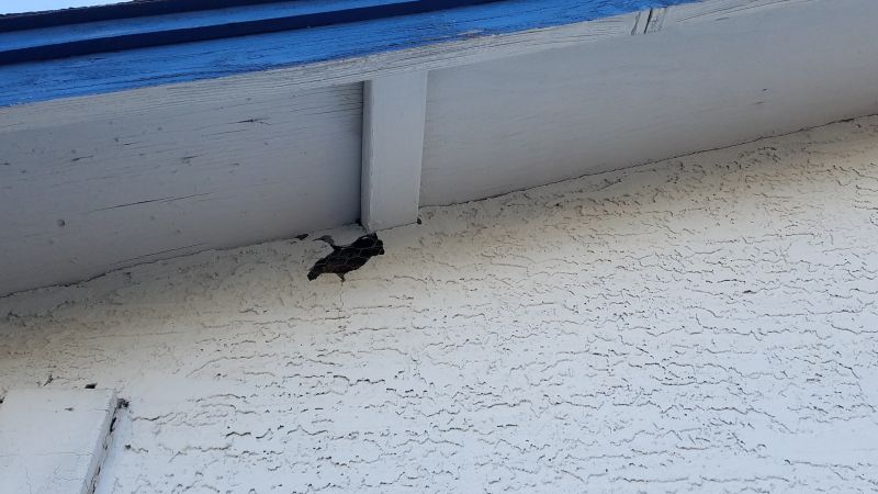 Structural Damage Repair